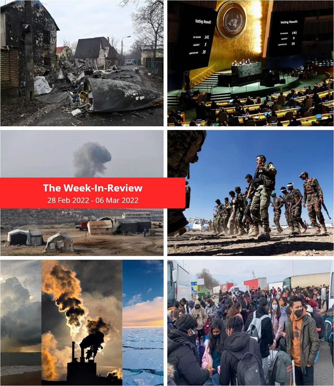 The Week in Review
